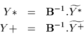 \begin{eqnarray*}Y* & = & {\bf B}^{-1}. \widetilde{Y^*} \\
Y+ & = & {\bf B}^{-1}. \widetilde{Y^+}
\end{eqnarray*}