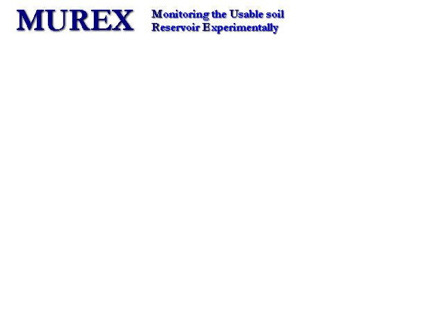 murex title banner