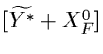 $[\widetilde{Y^*} + X^0_F]$
