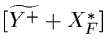 $[\widetilde{Y^+} + X^*_F]$