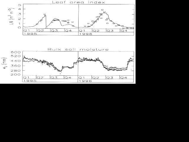 LAI, soil 