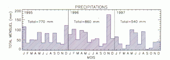 3 year precipitation